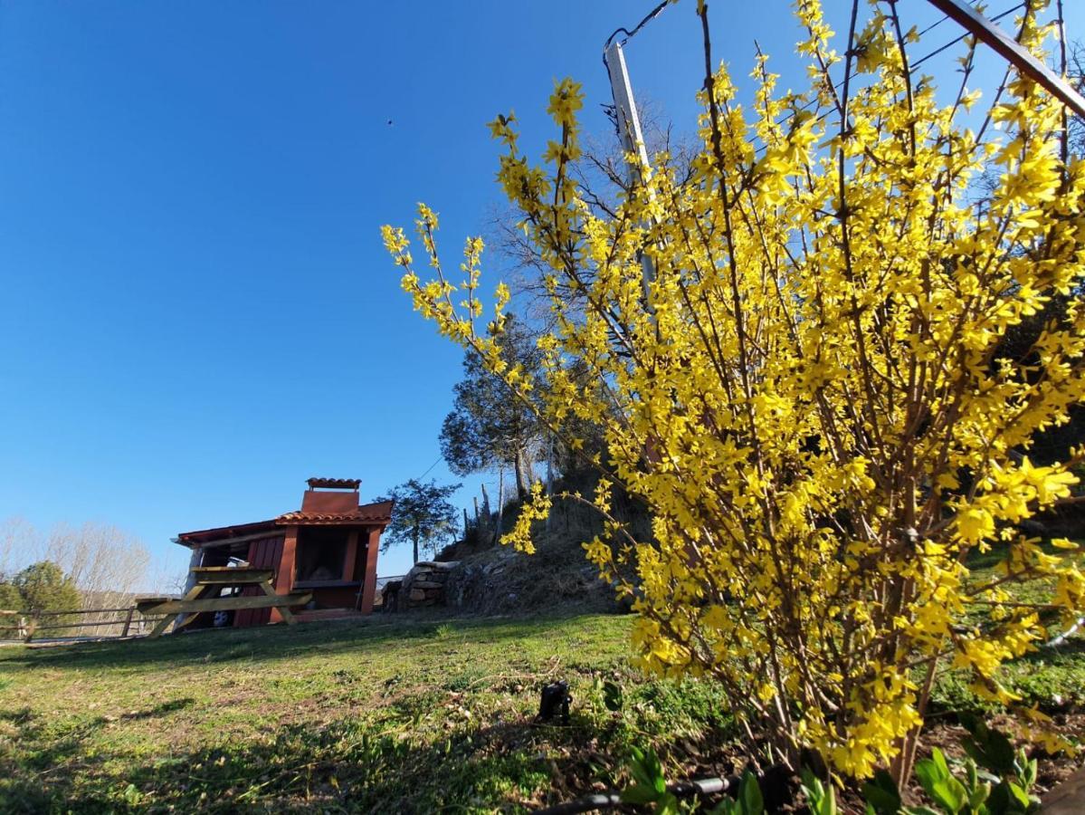 Casa Rural Manitoba Luxe Buenache de la Sierra Buitenkant foto